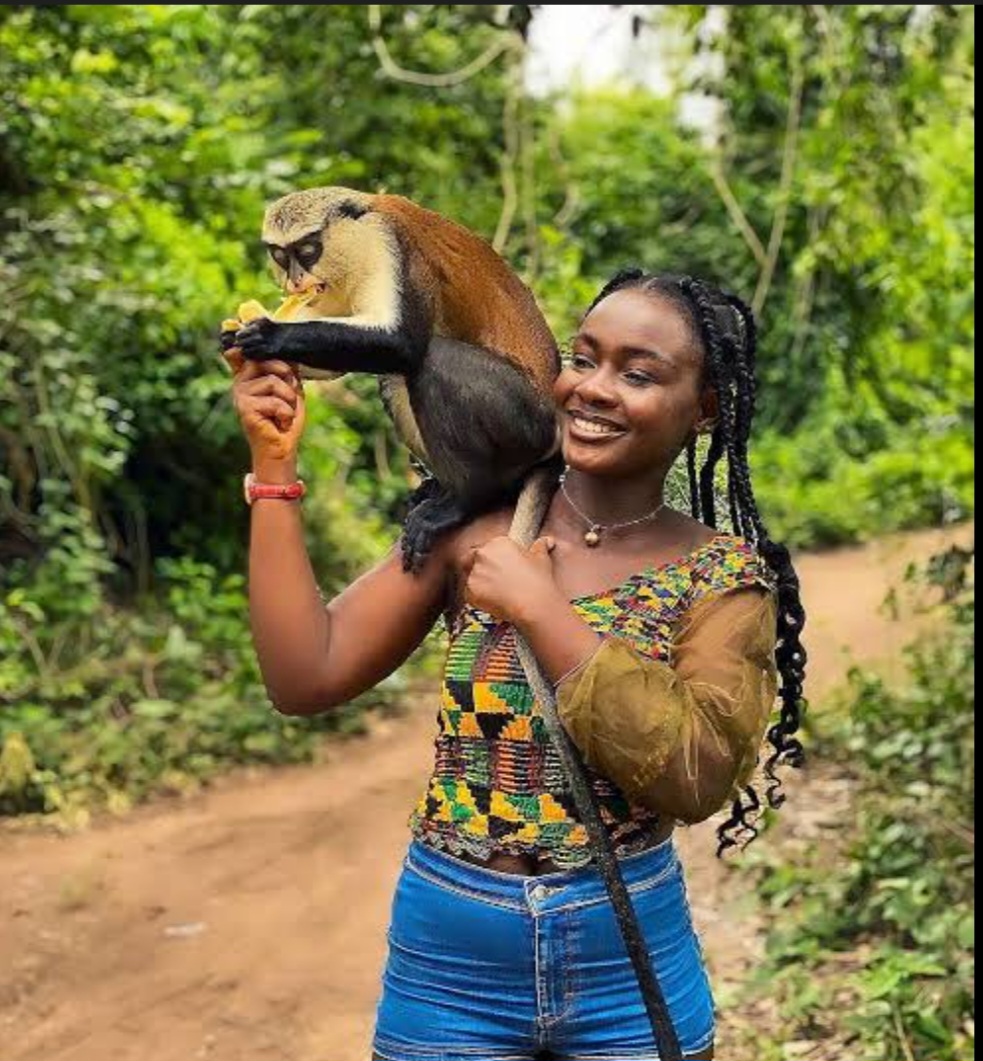 Tafi Atome Monkey Sanctuary