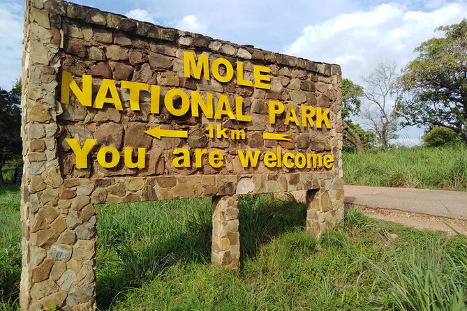Mole National Park Safari